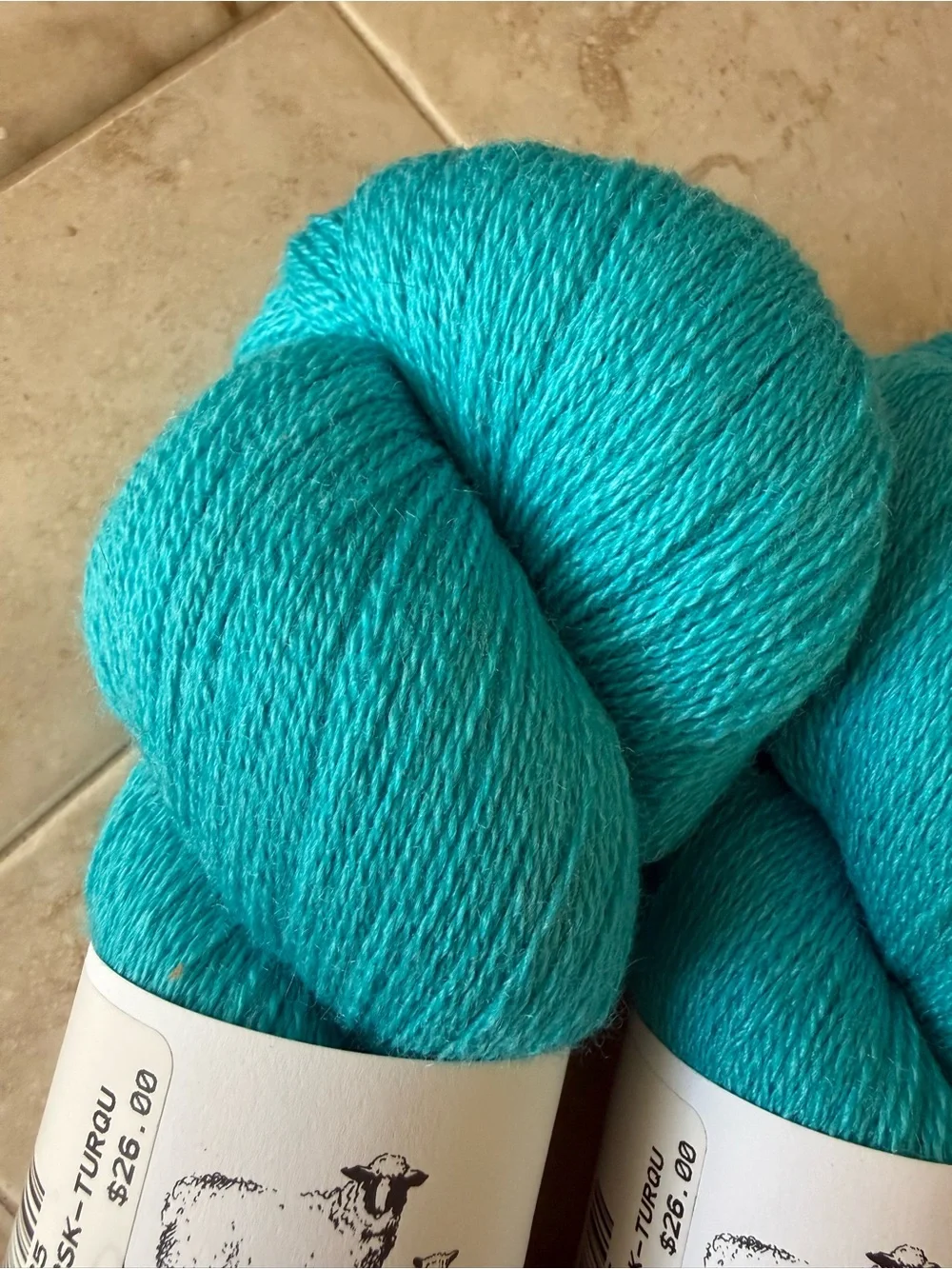 Jagger Spun Wo:Silk Blend Turquoise Hand-Dyed Yarn Skein - Bright Teal